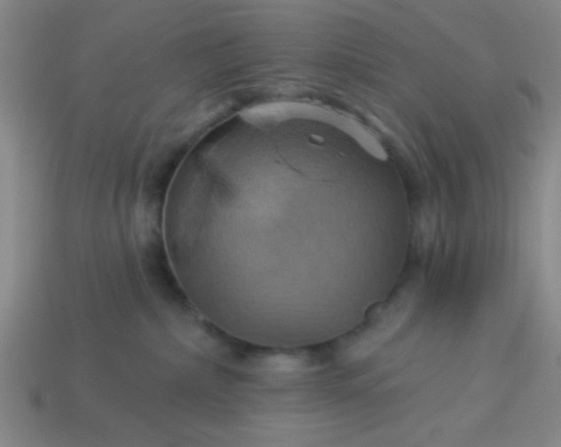 X0000114100236200910191648