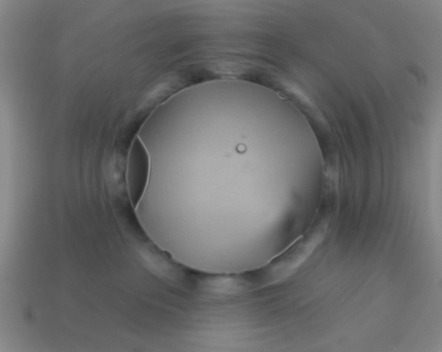 X0000114100237200910191648