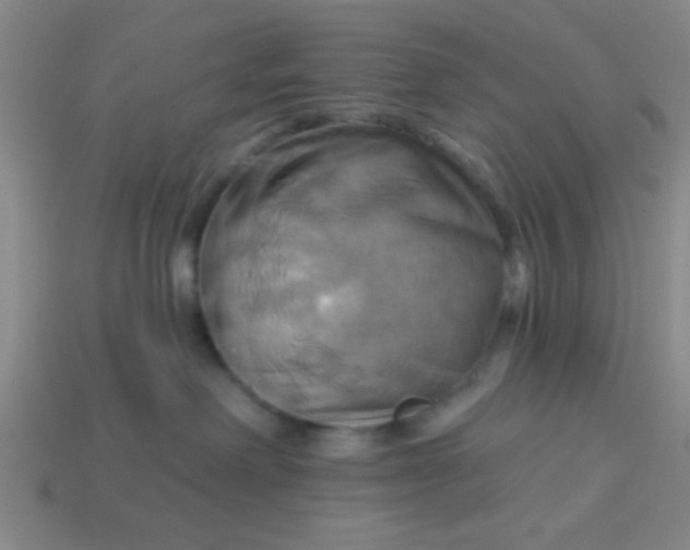 X0000114100238200910191648