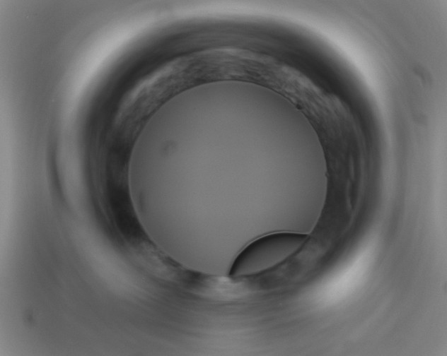 X0000114100239200910191648