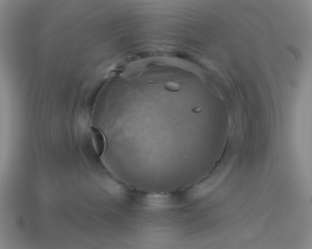 X0000114100240200910191648