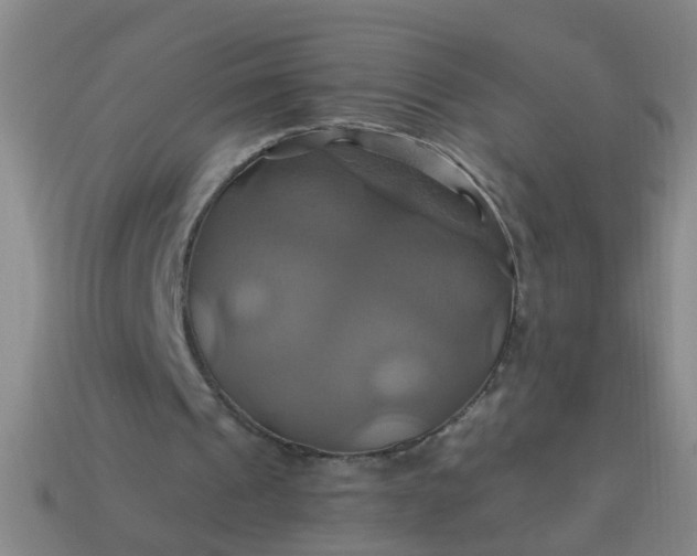 X0000114100241200910191648