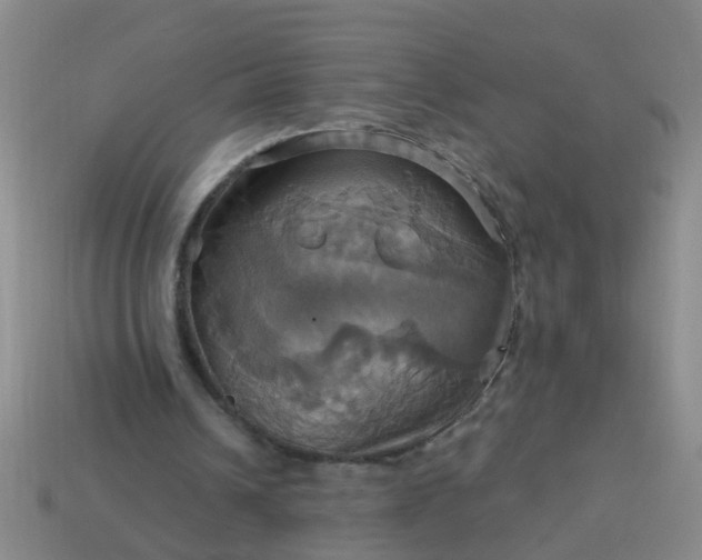 X0000114100242200910191648