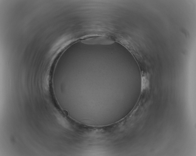 X0000114100243200910191648