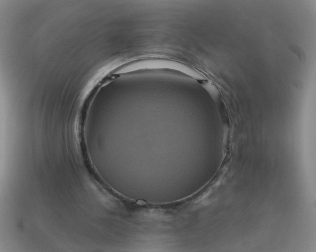 X0000114100244200910191648