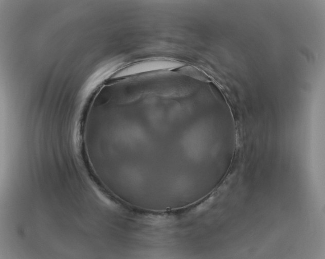 X0000114100245200910191648