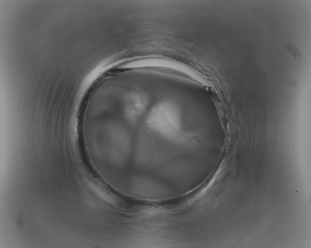 X0000114100246200910191648