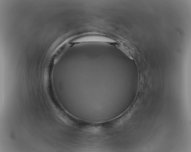 X0000114100247200910191648