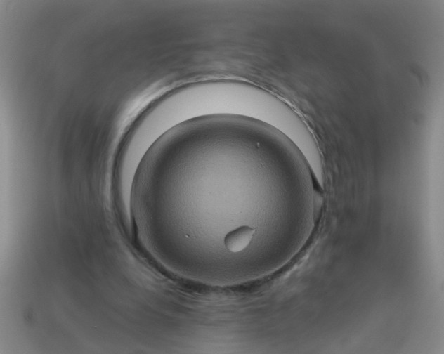 X0000114100248200910191648