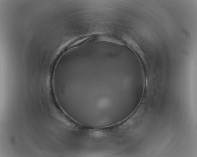 X0000114100249200910191648