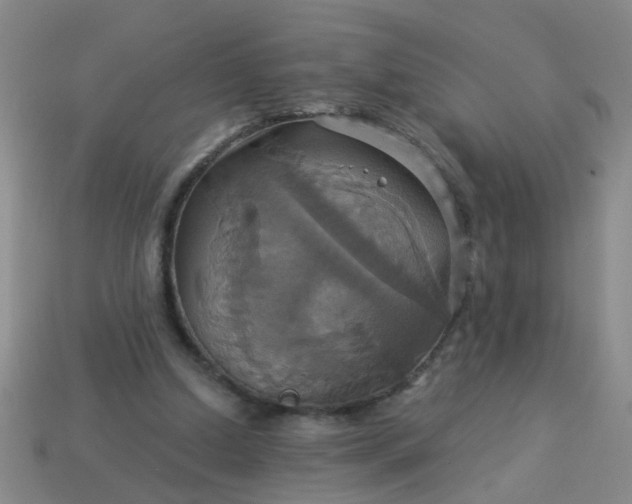 X0000114100250200910191648