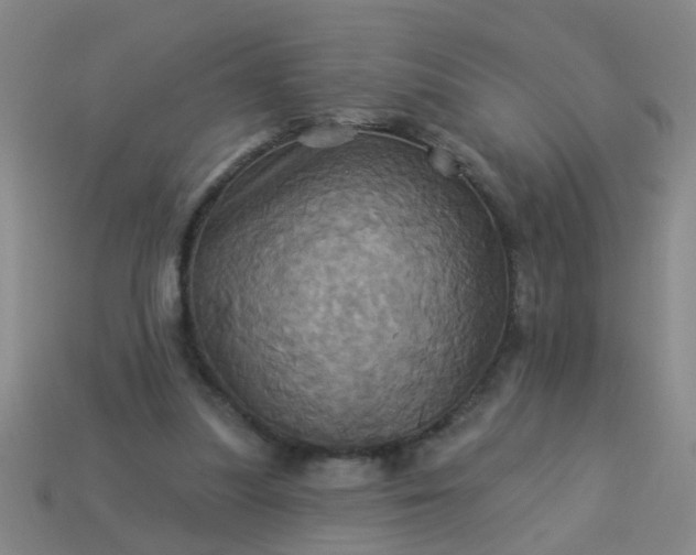 X0000114100251200910191648