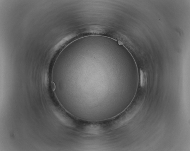 X0000114100252200910191648