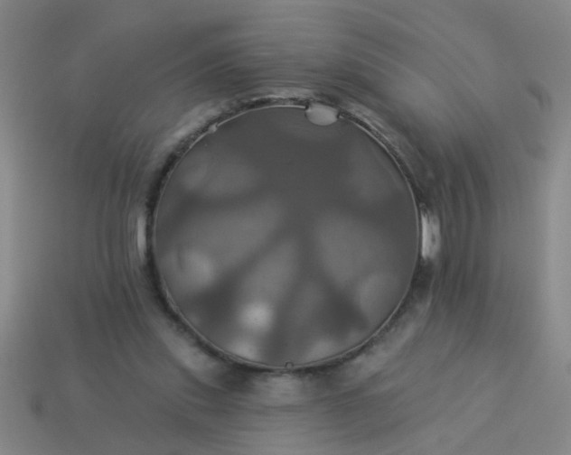 X0000114100253200910191648