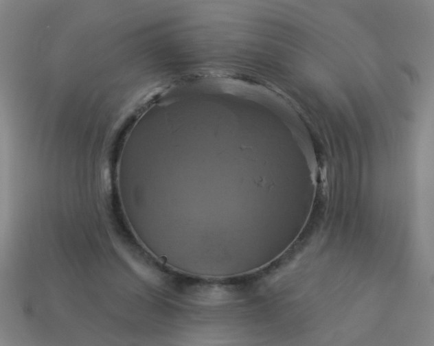 X0000114100254200910191648