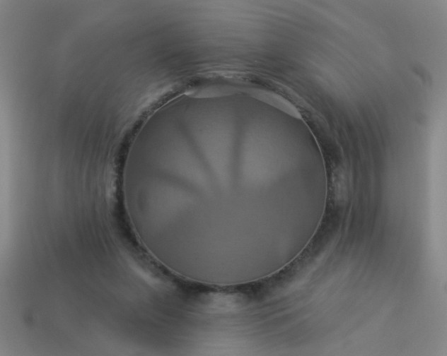 X0000114100255200910191648