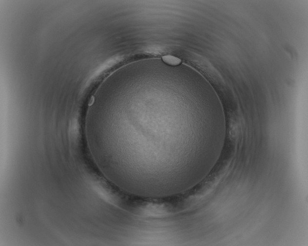 X0000114100256200910191648