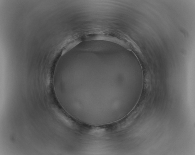 X0000114100257200910191648