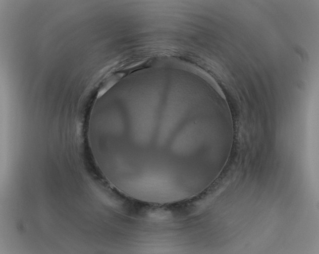 X0000114100258200910191648