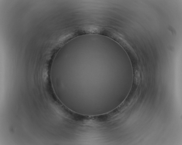 X0000114100259200910191648