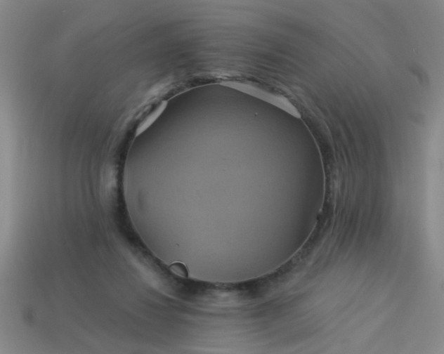 X0000114100260200910191648