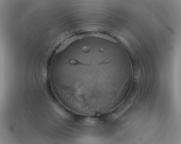 X0000114100261200910191648