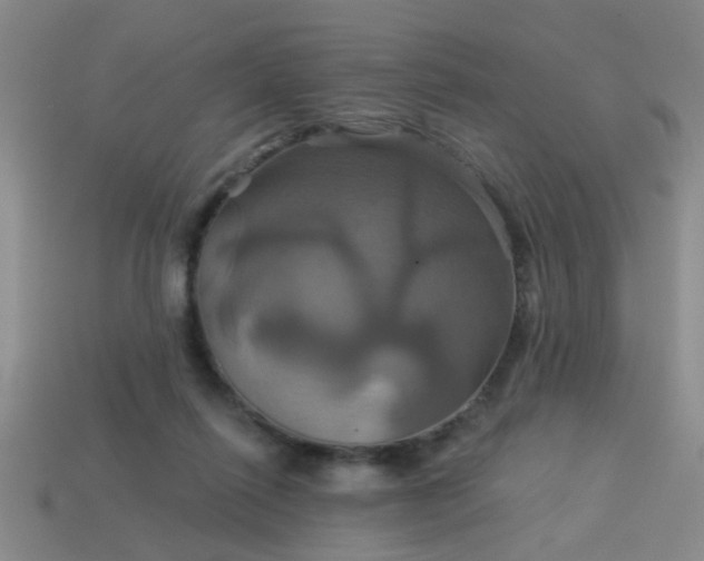 X0000114100262200910191648