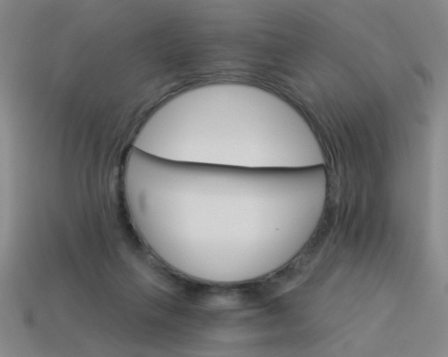 X0000114100263200910191648