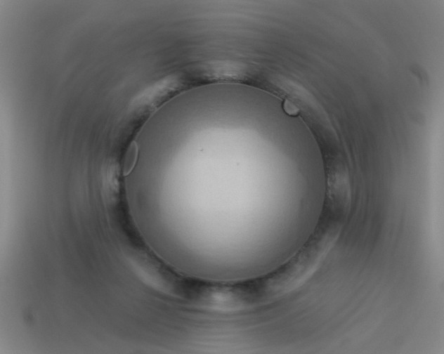 X0000114100264200910191648