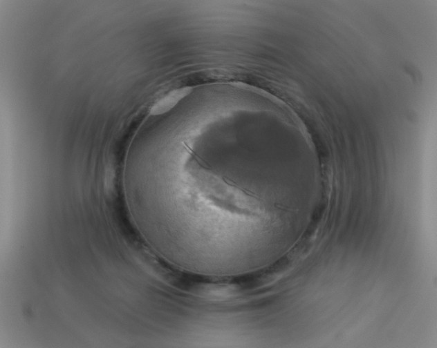 X0000114100266200910191648