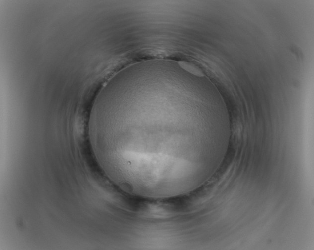 X0000114100268200910191648