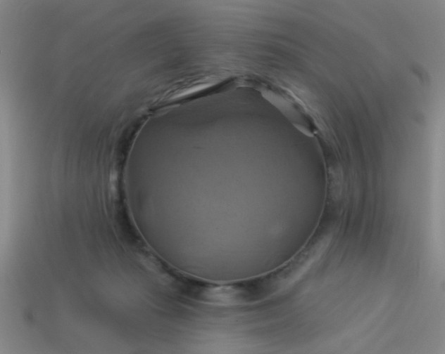 X0000114100269200910191648