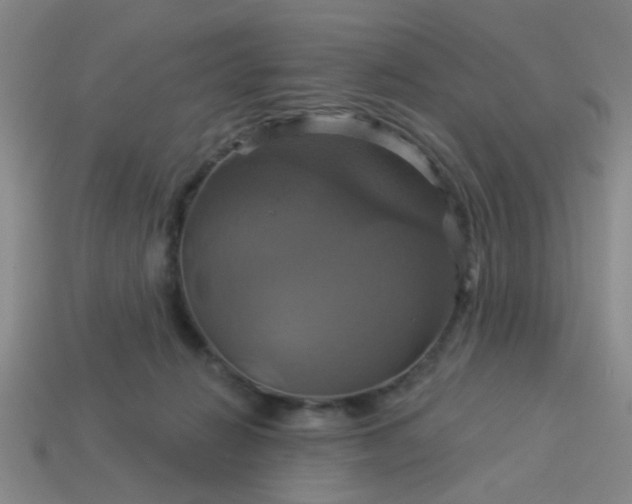 X0000114100270200910191648