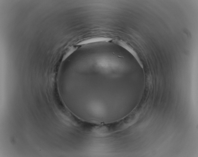 X0000114100271200910191648