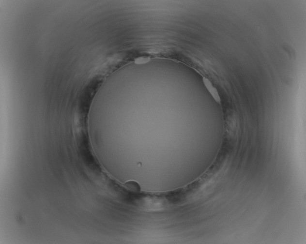 X0000114100272200910191648