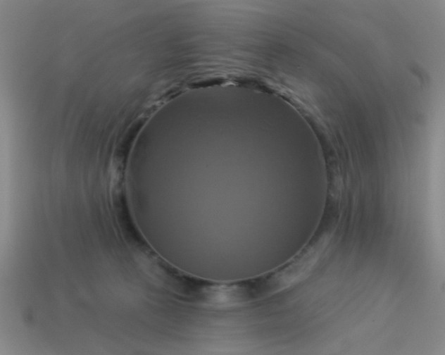 X0000114100273200910191648