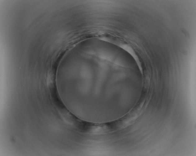 X0000114100274200910191648