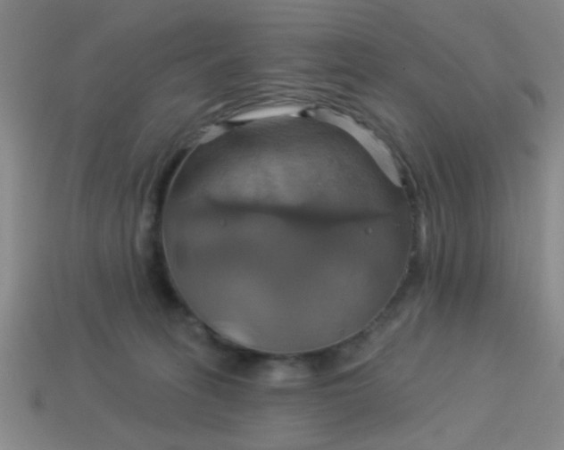 X0000114100275200910191648