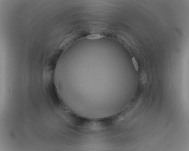 X0000114100276200910191648