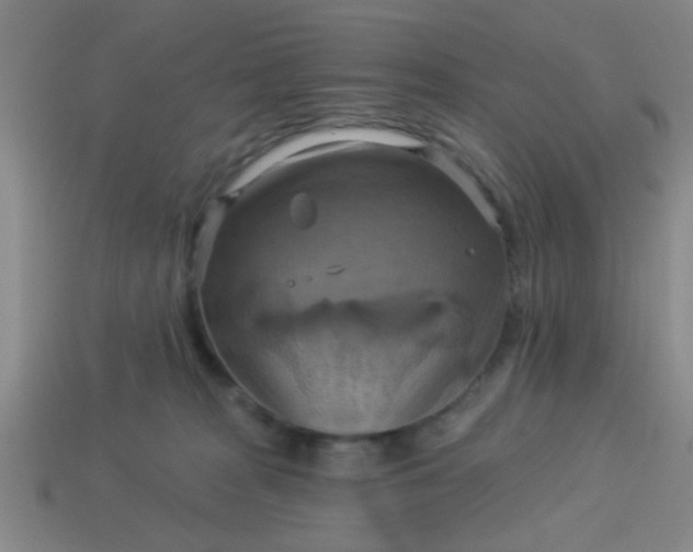 X0000114100277200910191648