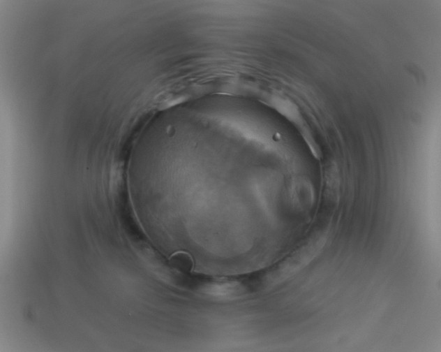 X0000114100278200910191648