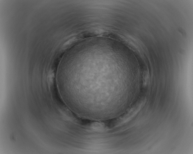 X0000114100279200910191648