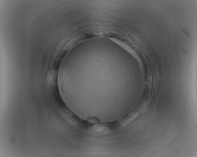 X0000114100280200910191648