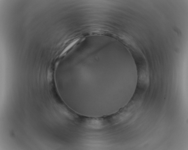 X0000114100282200910191648