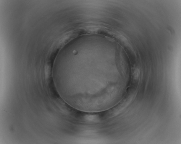 X0000114100283200910191648