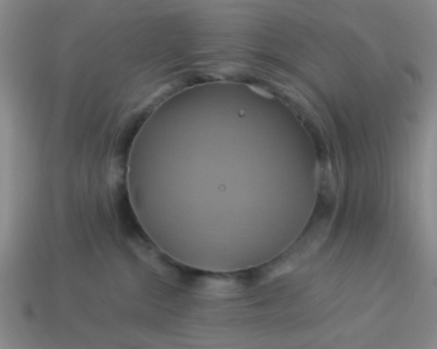 X0000114100284200910191648