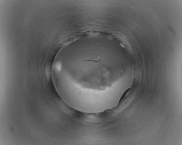 X0000114100285200910191648