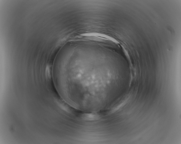 X0000114100286200910191648