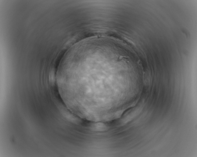 X0000114100287200910191648