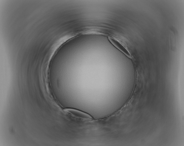 X0000114100289200910191648